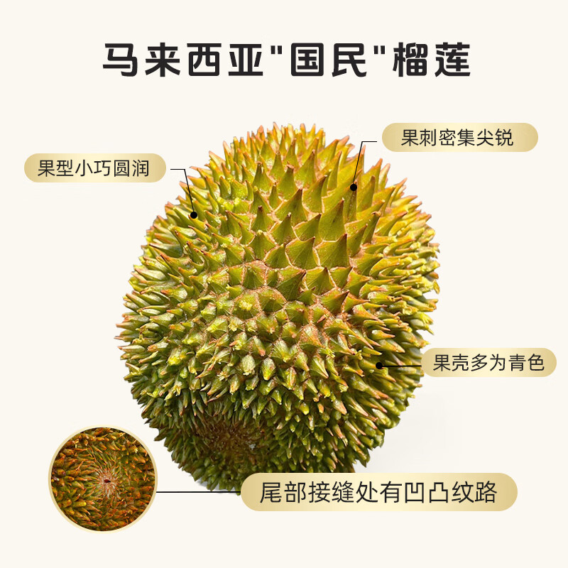 至尚云巅红肉冷冻榴莲肉生鲜水果D101 AA果3.5-4斤【保4房】