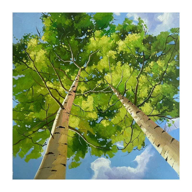 彩象空间纵深白桦树肌理纯手绘油画客厅绿色植物玄关墙壁方形装饰挂画