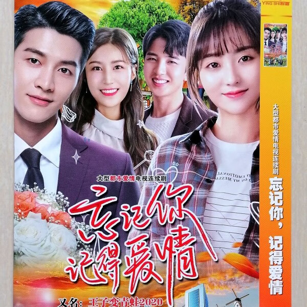 王子变青蛙2020 电视连续剧dvd碟片光盘邢菲金泽