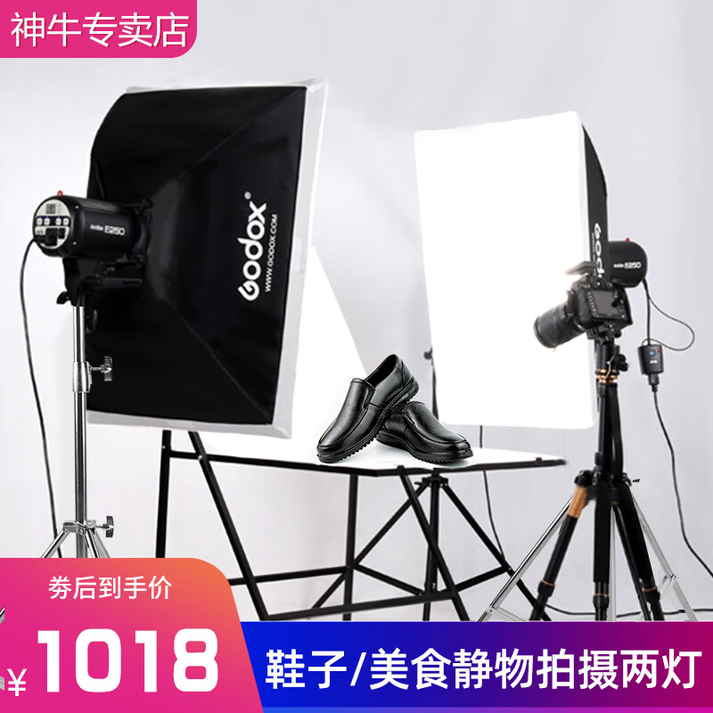 神牛（Godox） 摄影灯200-250W影室闪光灯鞋包服装人像证件照影室拍摄补光灯影棚拍照灯套装 【套装5】E250闪光灯【两灯套装】