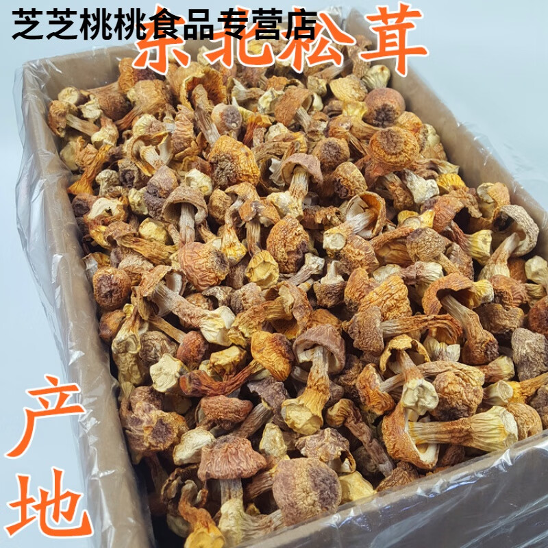 咔芙滋松茸东北松茸蘑大兴安岭姬松茸干货特产蘑菇产地直发新品500g