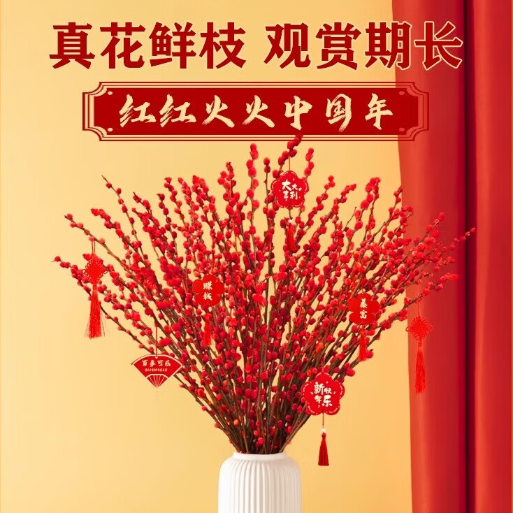 易囍艺 年宵花银柳真花鲜枝干花摆件室内水培绿植物新年红福桶年宵花卉 红色银柳60cm长20支[不含瓶] 喜庆红