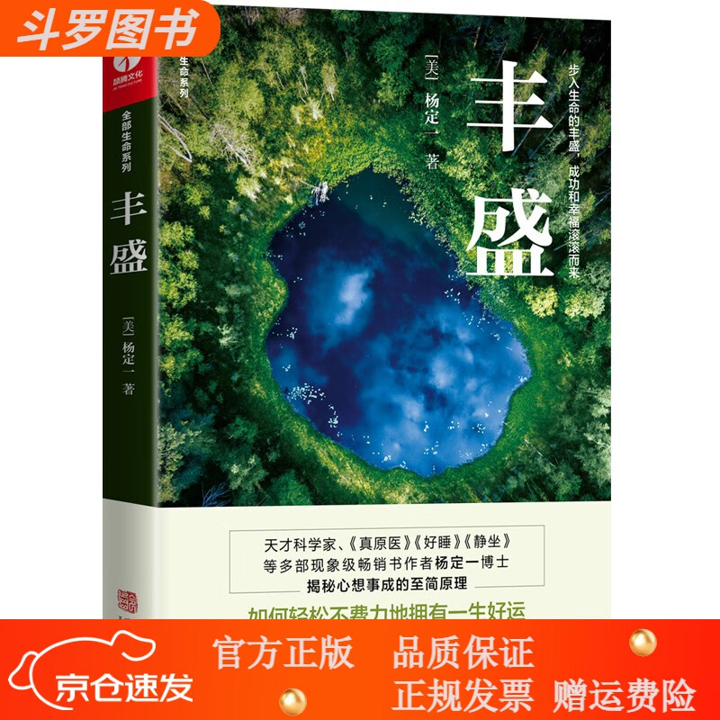 【正版新书】丰盛 杨定一全部生命系列 真原医姊妹篇(步入生命的丰盛