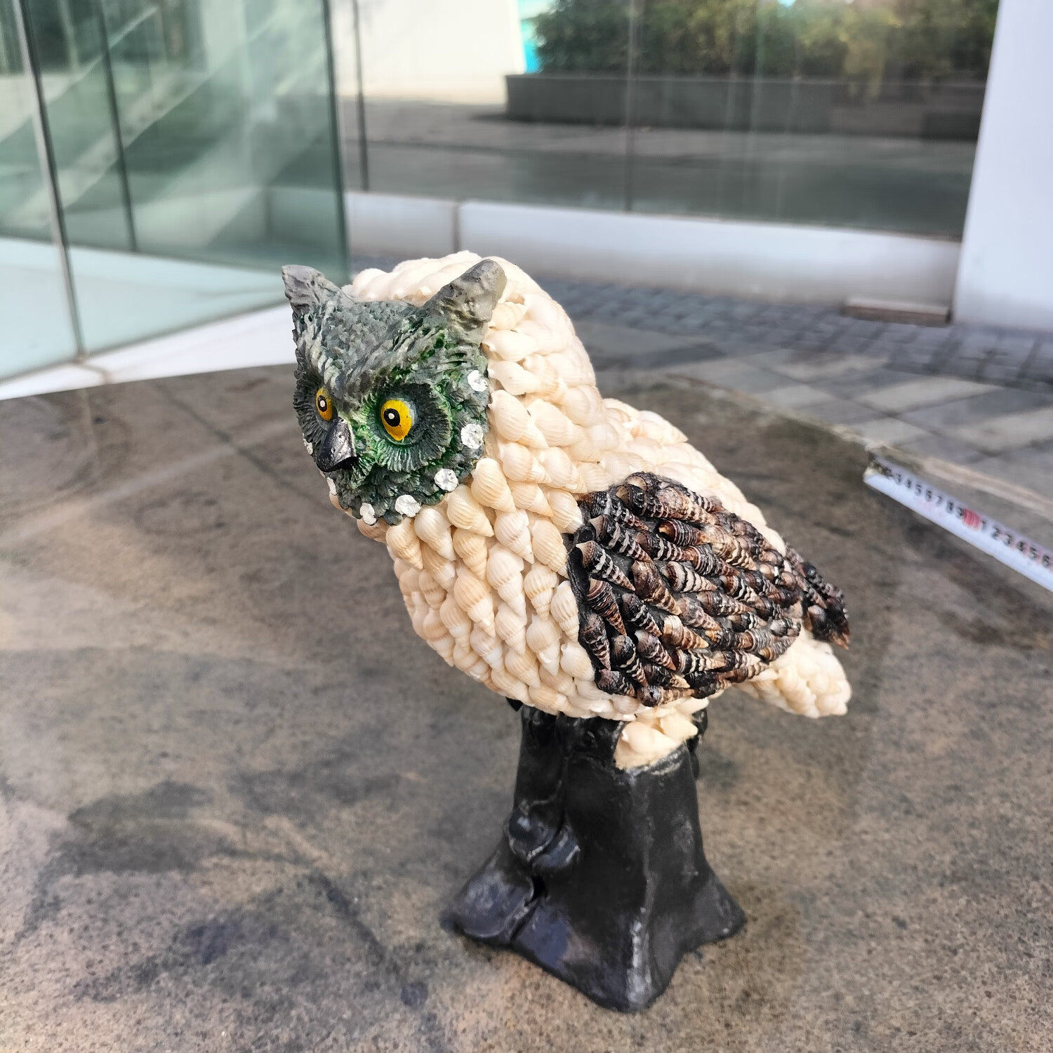海南特色工艺品贝壳海螺摆件猫头鹰家居动物