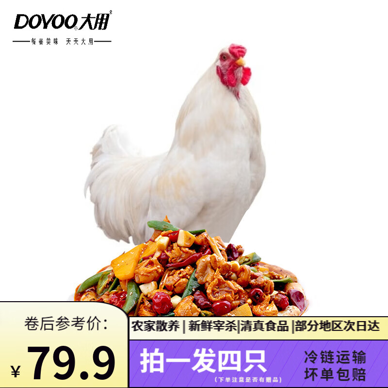 大用中装鸡 白羽鸡整鸡 约730g/只生鲜鸡肉炖汤食材 生鲜走地