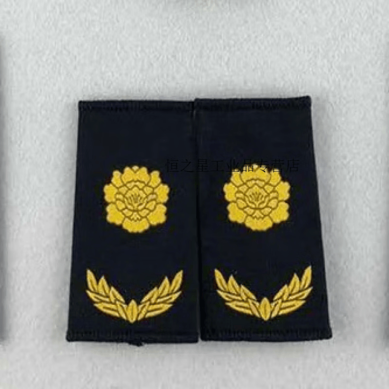 定制适用新综合城市管理肩章臂章胸徽胸号城市标志 套肩