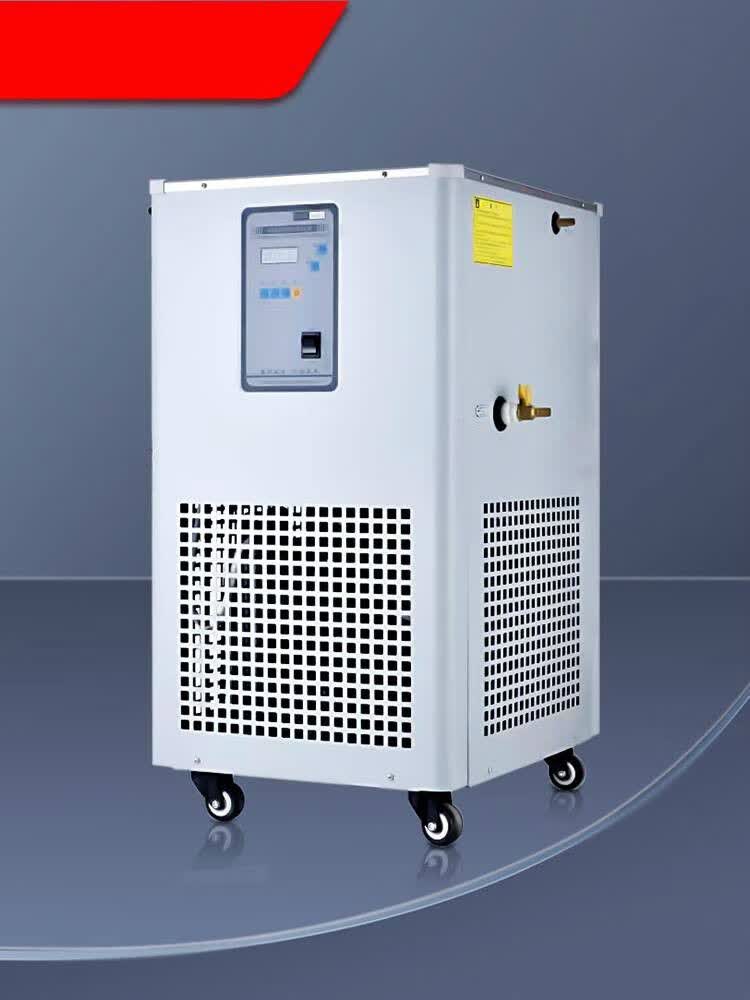 实验室dlsb5l低温冷却液循环泵10l低温恒温槽反应浴 冷却水循环机 5l