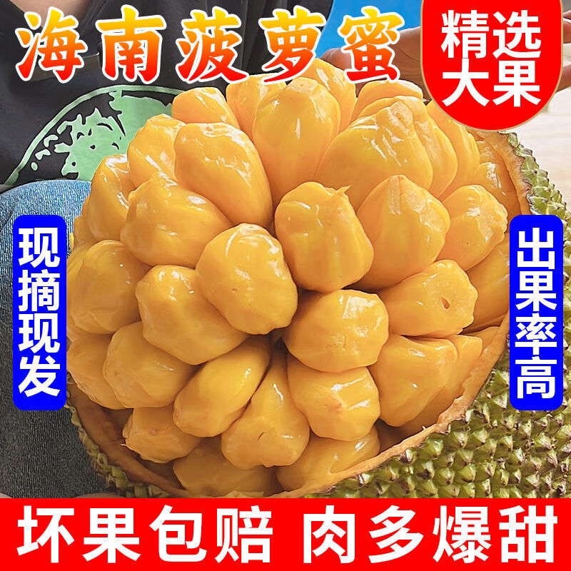 南业果正宗海南菠萝蜜一整个新鲜水果脆甜当季现摘干苞黄肉整箱 15-20斤
