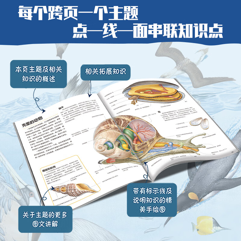 万物运转的秘密（全10册）儿童科普百科全书亲子共读启蒙读物博物大百科小学生 7-10-14岁一二三四五年级课外阅读 大开本更清晰 高清透视图