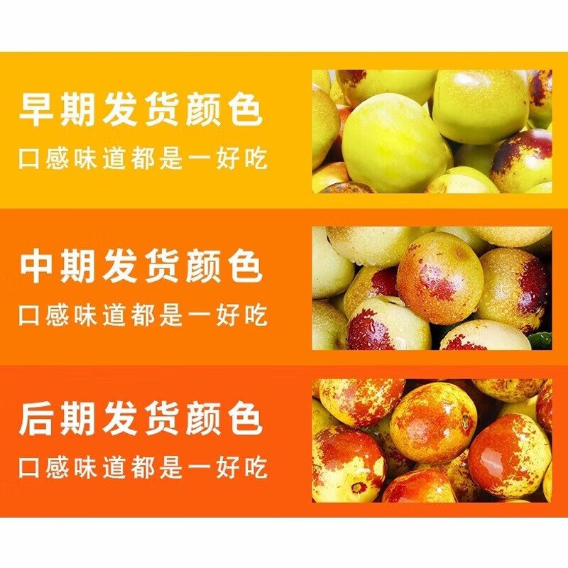 泽华果品陕西正宗大荔冬枣 脆甜枣子当季新鲜孕妇水果整箱 大荔冬枣净重5斤单果8g+