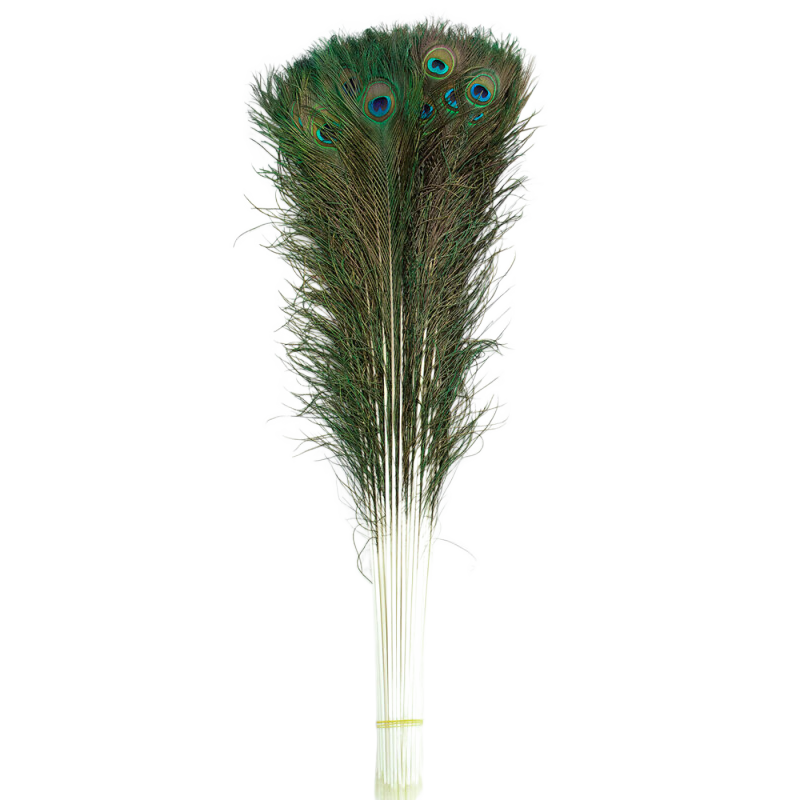 ��֮Ѱ��ȸ��ë�ڼ��廨ƿ����ë��Ȼ��ȸ��β��DIYװ��Ʒ������ƿ�ڼ� ��ȸë��90-100cm6֧��    107.46Ԫ��3��(��35.82Ԫ/��)