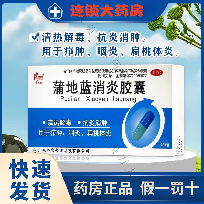 星辰牌 蒲地蓝消炎胶囊0.
