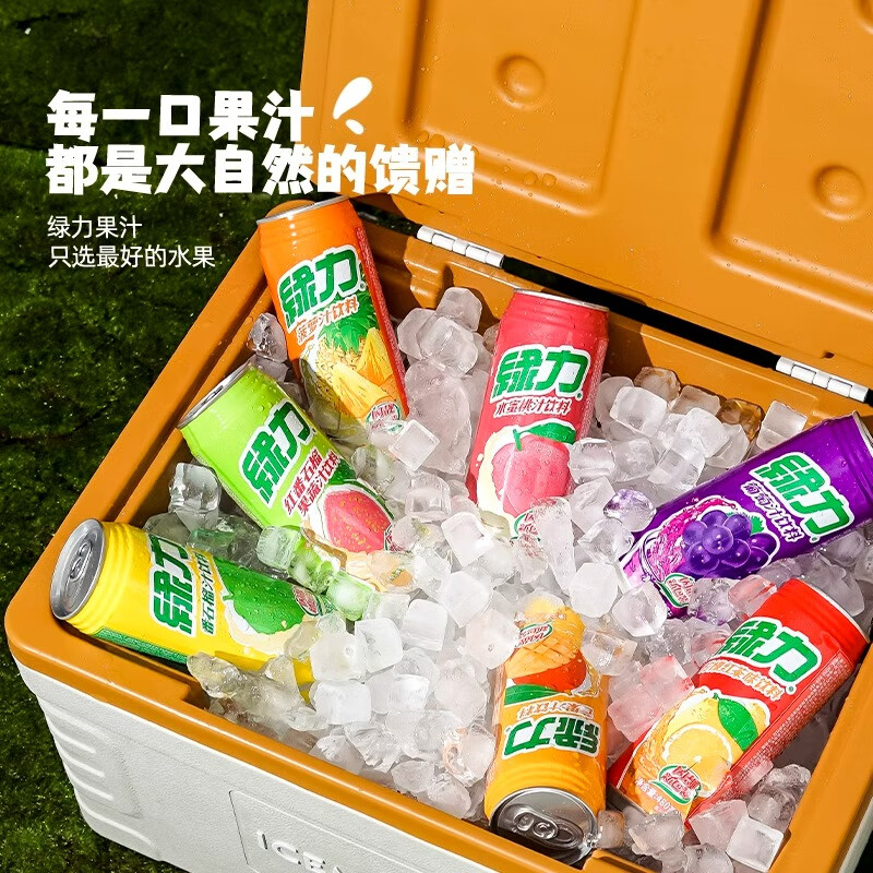 绿力台湾果汁饮料果蔬水蜜桃红番石榴大罐维生素C饮品480~490ml大罐装 【红番石榴果蔬汁】480ml*6罐 480ml-490ml/罐