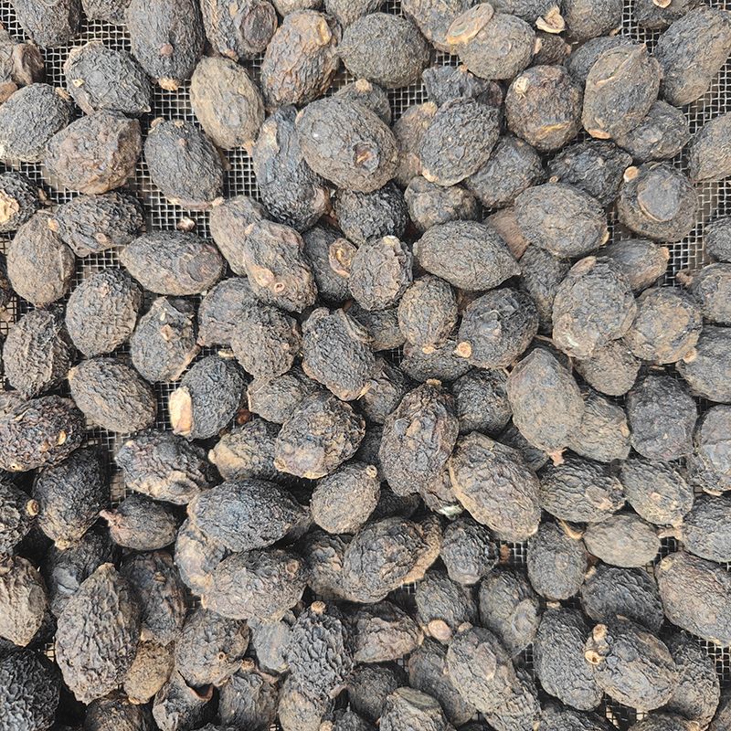 咳地佬云南腾冲野生克地佬滇青果干泡酒泡水干果自然晒干无添加 自然