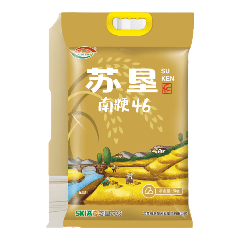 ���ڲ������տ� �Ͼ�46  ���㾬��10��