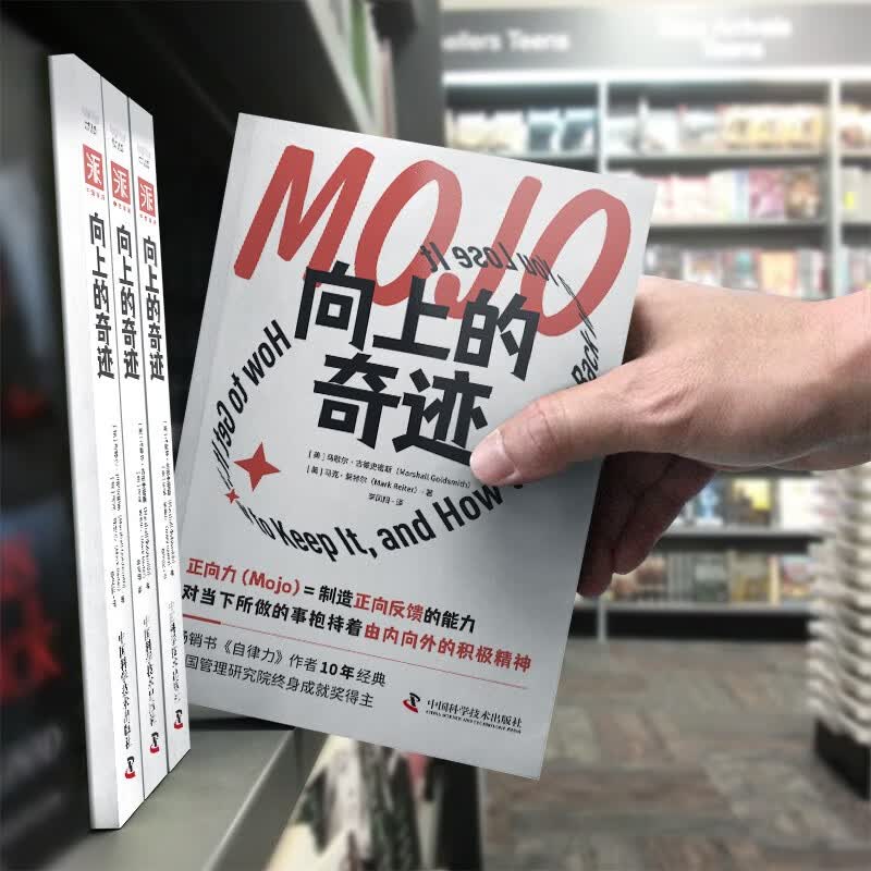 向上的奇迹（热销14国，500强高管枕边的人生答案之书，带领你职场向上、生活向上、认知向上！）详情图