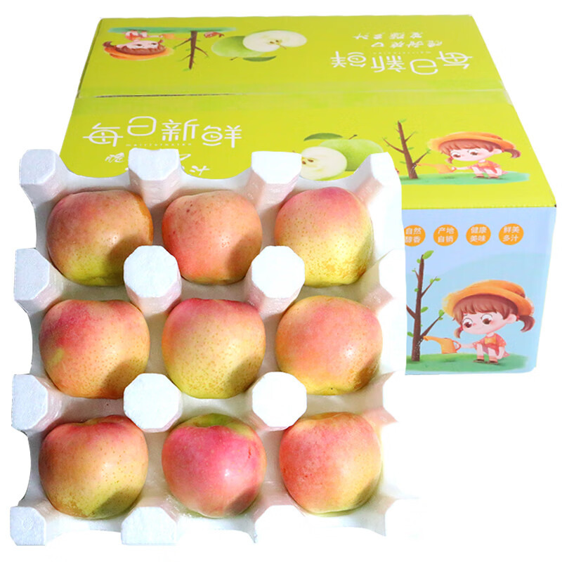 鲜姿 正宗大连王林苹果青森麻脸美人贵妃礼盒黄苹果生鲜孕妇新鲜水果 净重4-4.5斤9枚【礼盒装】 京东折扣/优惠券