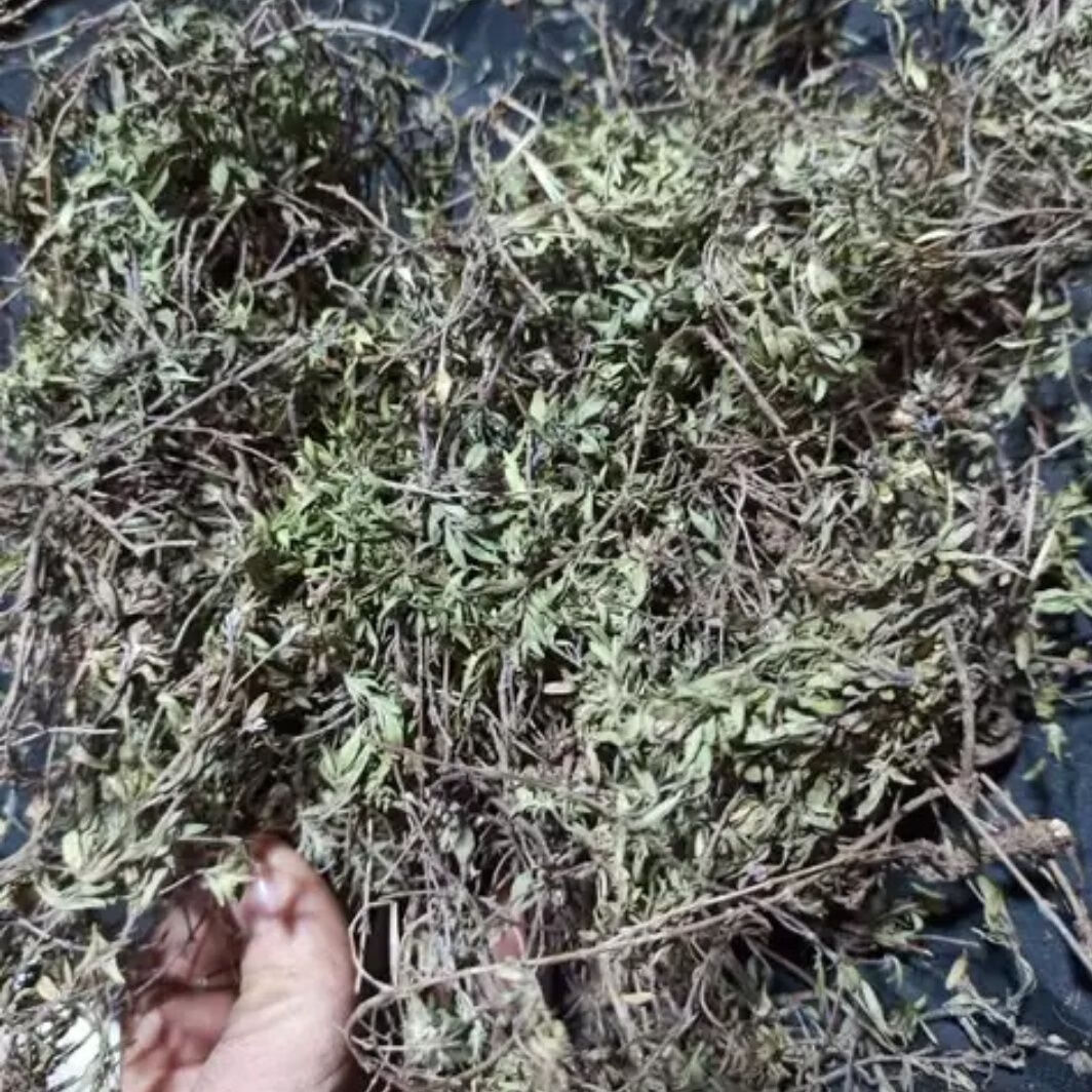 北京同仁堂山花椒地椒草百里香野生整颗山胡椒炖羊肉地椒晒干地椒茶