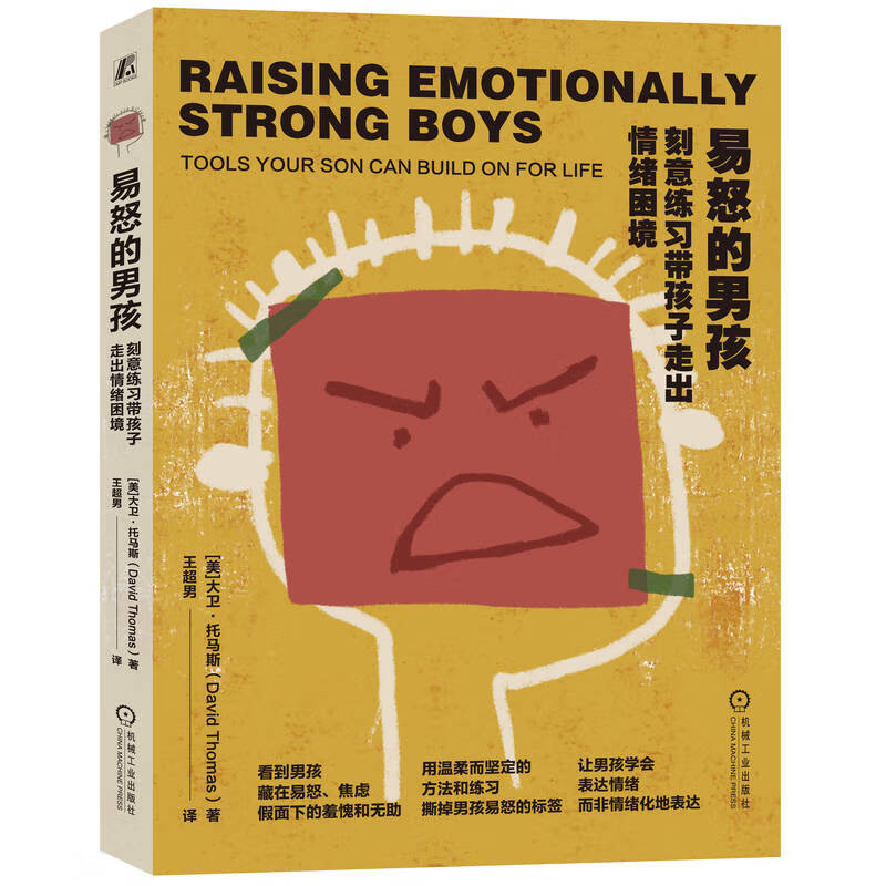 易怒的男孩:刻意练习带孩子走出情绪困境详情图