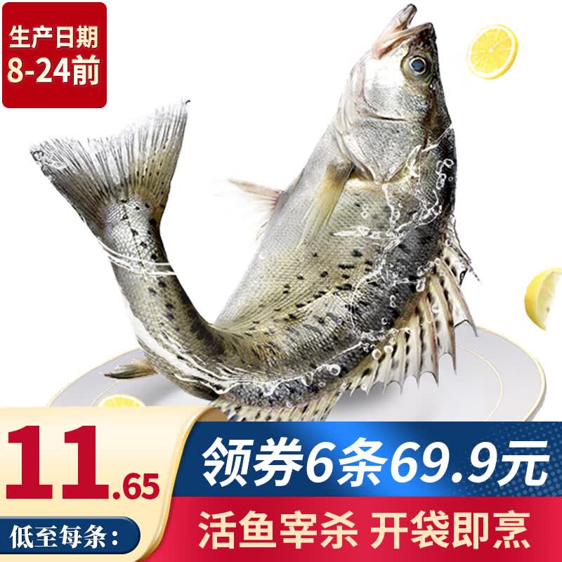 速鲜（SuXian）新鲜活冻三去开背开腹白蕉海鲈鱼生鲜海鱼海鲜水产去鳃去鳞去内脏 200-250g*6条（无冰款）怎么样,好用不?