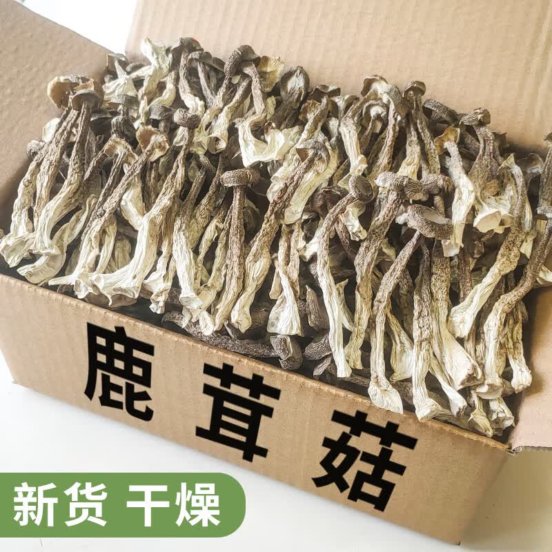 鹿色鹿茸菇干货特级鹿松菇农家特产食材大全菌菇类煲汤年货500g鹿茸菌