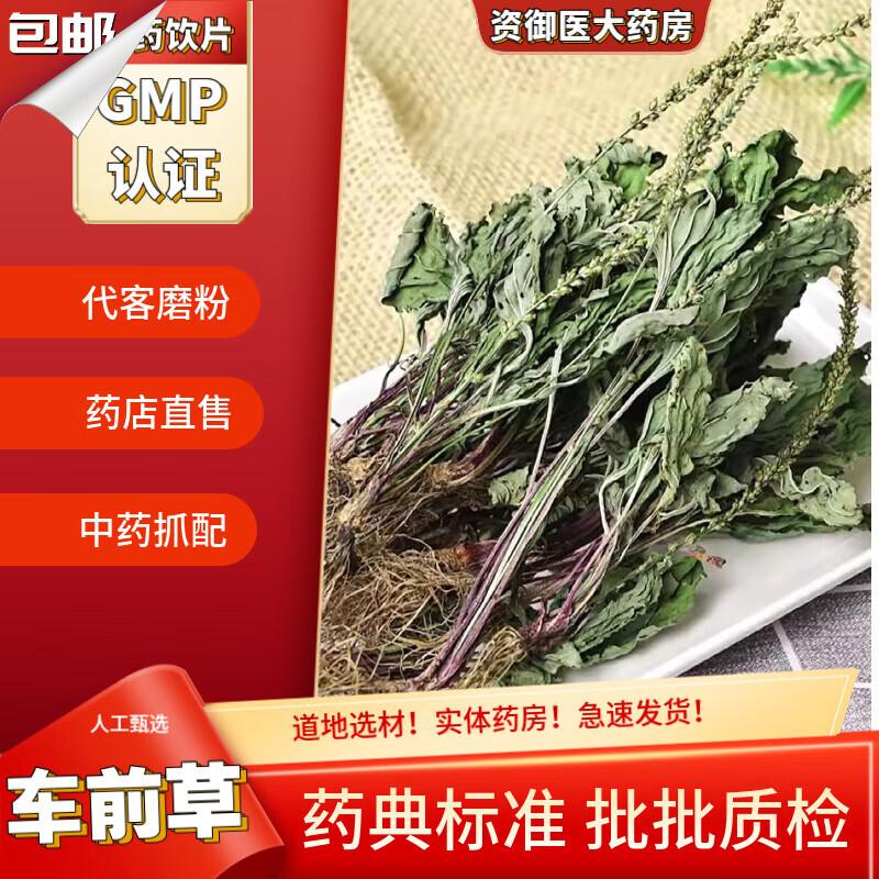 北京同仁堂中药饮片车前草中药材原生车前草猫爪草泡茶新鲜干货整株袋