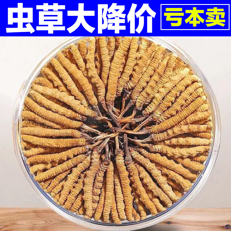 2023正宗冬虫草虫草王滋补甘孜曲虫草精选礼盒 虫草一根