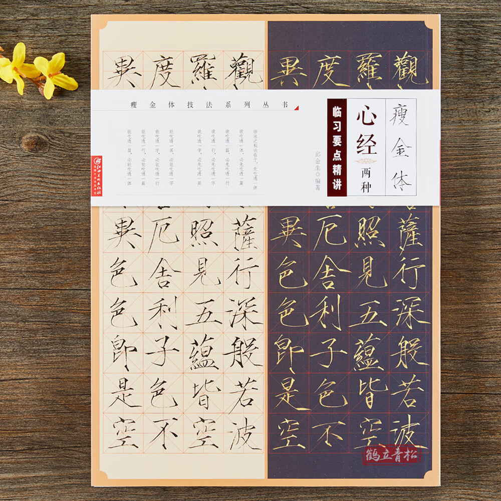 【二手99新】邱金生瘦金体两种临习要点精讲-瘦金体 瘦金书书法技