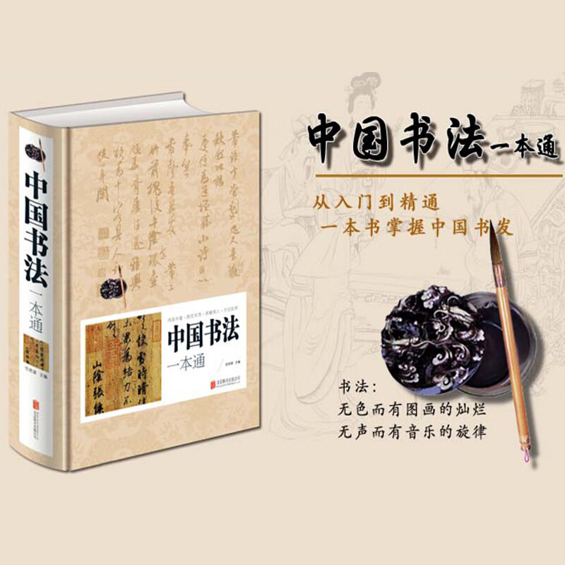 中国书法 一本通正版中国书法一点通167个练习实用深入赵孟俯王羲之