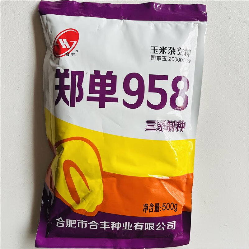 笑春风合丰郑单958饲料玉米种子新三系制种农家大田高产矮杆玉米种籽