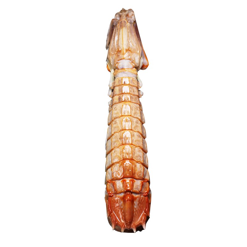 ��ʳ���ڳ���ƤƤϺ �ش�����Ϻ Ϻ���ӱ����춳����Ϻ�ô�Ϻ�������� ȫĸ���� 1000g(����)  ��3-4ֻ 378Ԫ