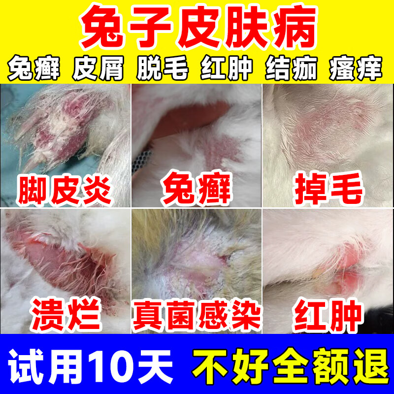 霆特兔子皮肤病非药兔癣兔藓专用非药兔子真菌感染驱虫脚皮炎耳朵掉毛