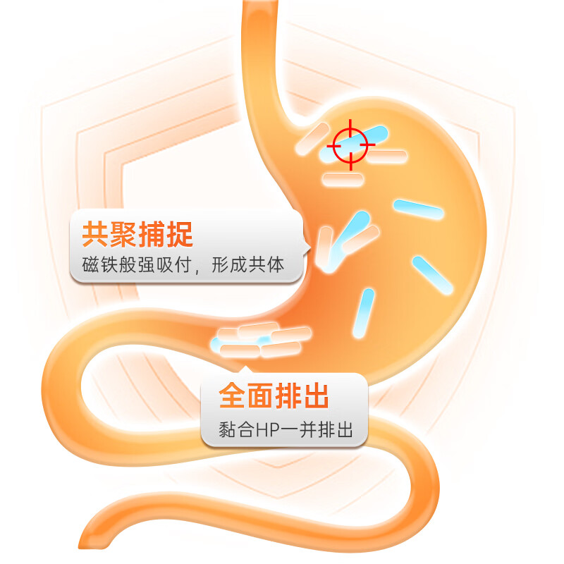 荷塔威益生菌罗伊氏乳杆菌pylopassDSM17648菌种麦卢卡蜂蜜UMF20+临期 巩固装 60粒*6瓶 买一组送2瓶到手8瓶