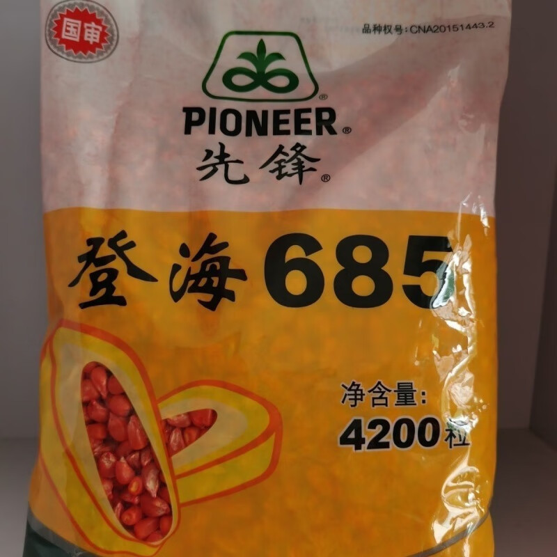朵芮蜜登海685丰产杂交玉米种子特大棒细轴粒深抗病抗倒包谷种籽春夏