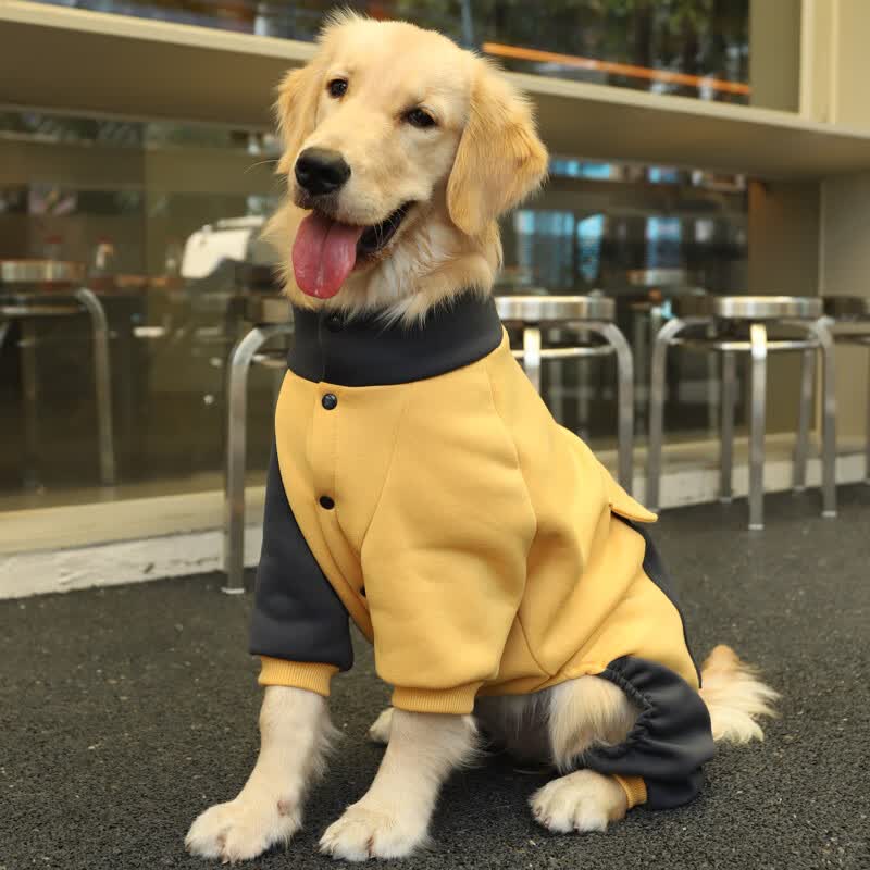 创京懿选狗狗四脚衣服防掉毛 狗狗衣服秋冬金毛中型大型犬宠物边牧大