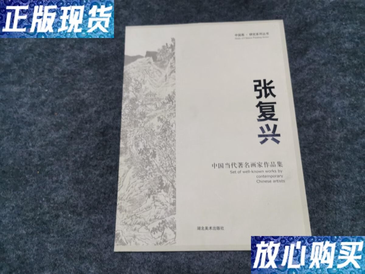 【二手9成新】张复兴 中国当代画家作品集 /李文 湖北美术出版社