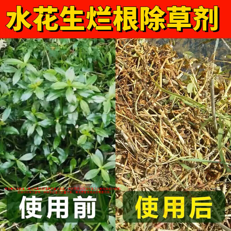 水花生烂根除草剂杀革命草顽固杂草克星氯氟吡氧乙酸除草药除草剂 70g