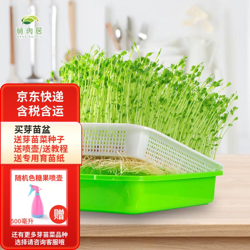 萌肉居水培蔬菜盆发芽盆芽苗菜育苗无土栽培种植芽苗盘+种子1包+喷壶高性价比高么？