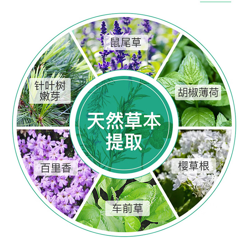 Huebner德国进口郝柏娜冷杉玉露草本有机清肺止咳口服液 润肺养肺润喉糖 【12岁+】草本清肺口服液250ml/瓶
