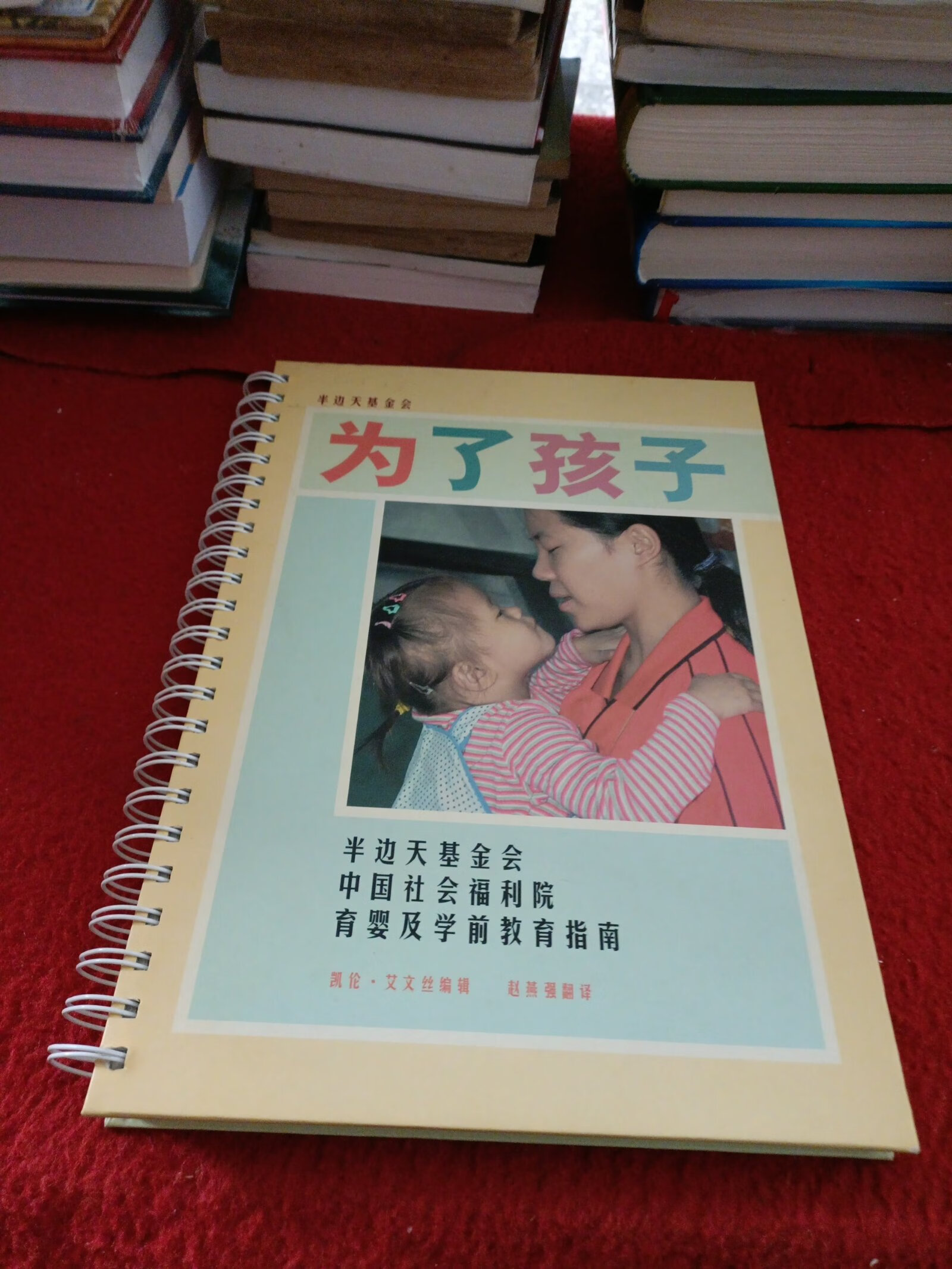 [二手9成新] 为了孩子——半边天基金会中国社会福利院育婴及学前