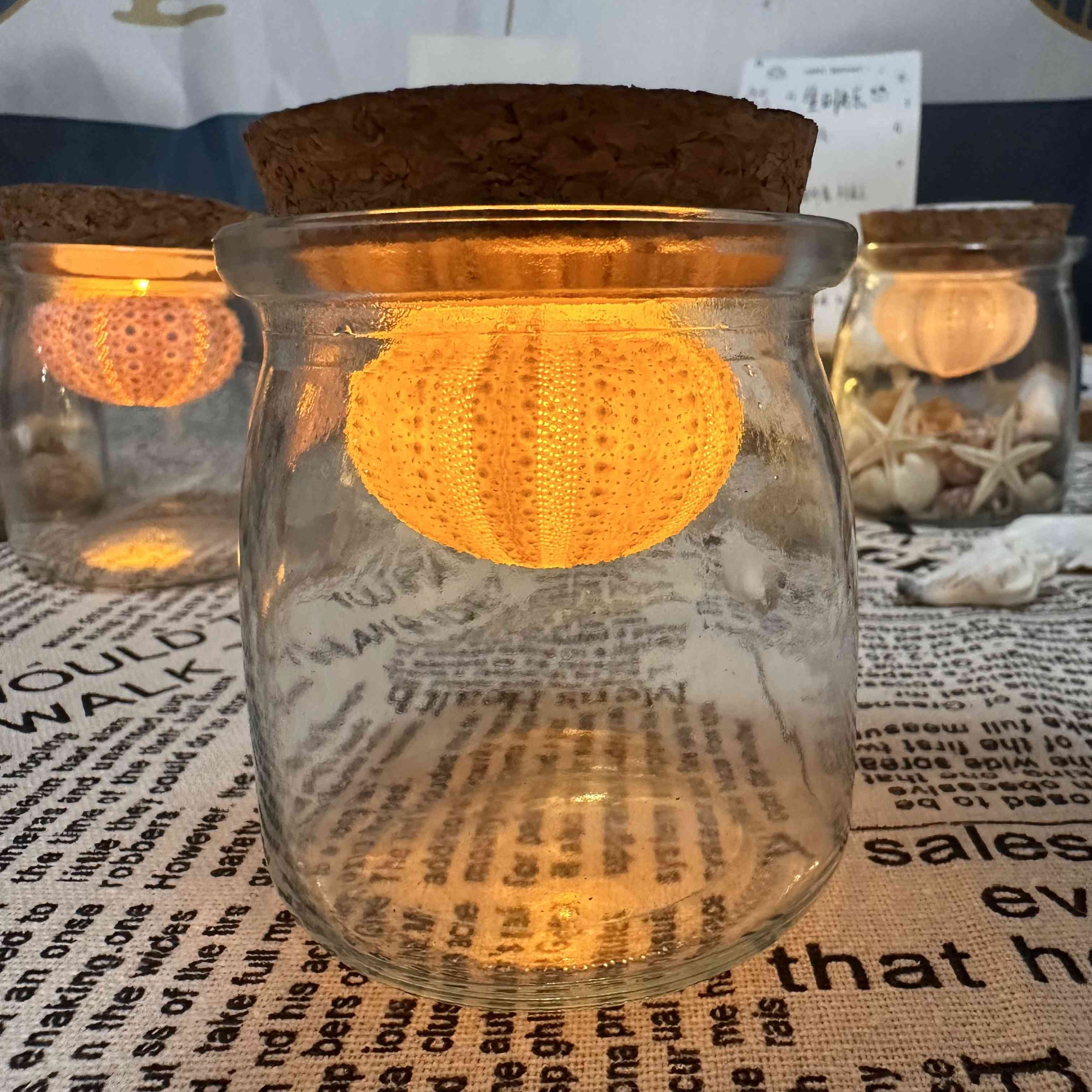 TaTanice許愿瓶海膽燈海螺殼儲物瓶漂流瓶創(chuàng)意手工可充電夜燈生日禮物 圓形海膽許愿瓶