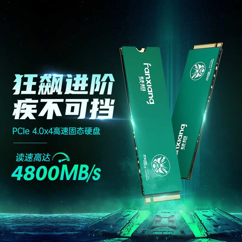 梵想（FANXIANG）SSD固态硬盘M.2接口PCIe4.0x4 适配PS5 台式机笔记本电脑通用 梵想高速固态硬盘 2TB