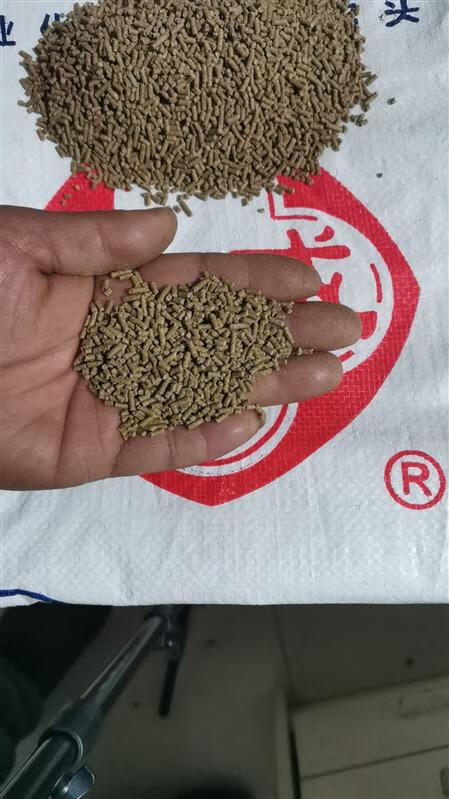 通威（TONGWEI）通威魚飼料顆粒黑坑鯉魚鯽魚打窩料原塘顆粒粉小黃面淡水魚通用型 5斤  2毫米下沉顆粒29蛋白