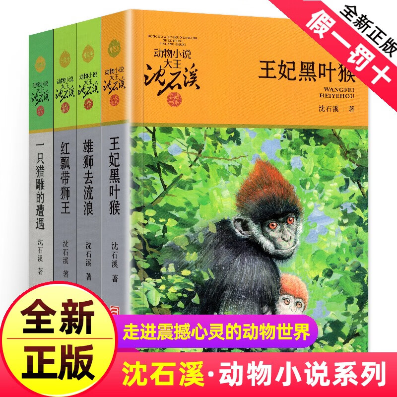 沈石溪动物小说全集作品全套共4册 王妃黑叶猴 红飘带狮王 雄狮去流浪