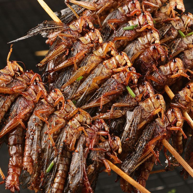 可钦蚂蚱串烧烤20串蝗虫蚱蜢串批发油炸冷冻半成品商用一整箱食材昆虫
