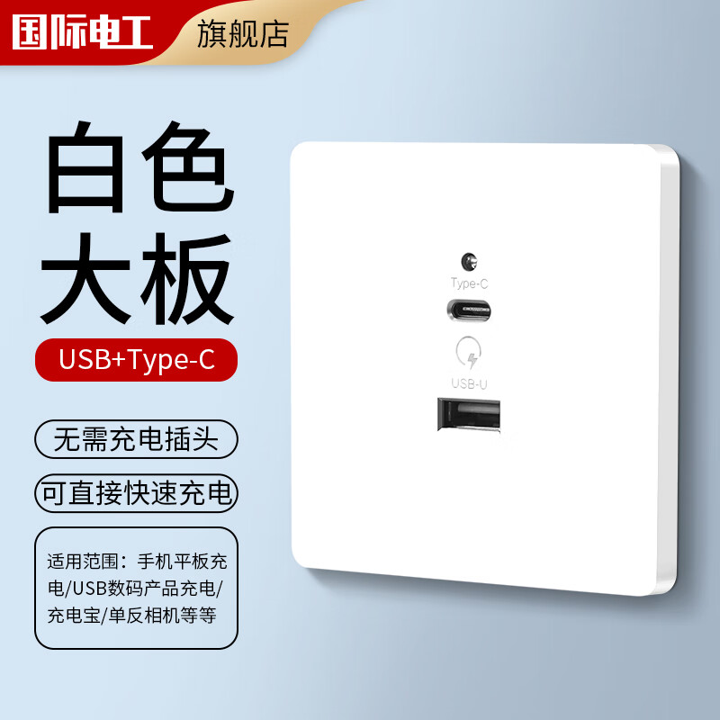 国际电工暗装86型20W快充USB插座开关面板墙壁手机充电Type-c家用五孔 USB+typeC（白色）