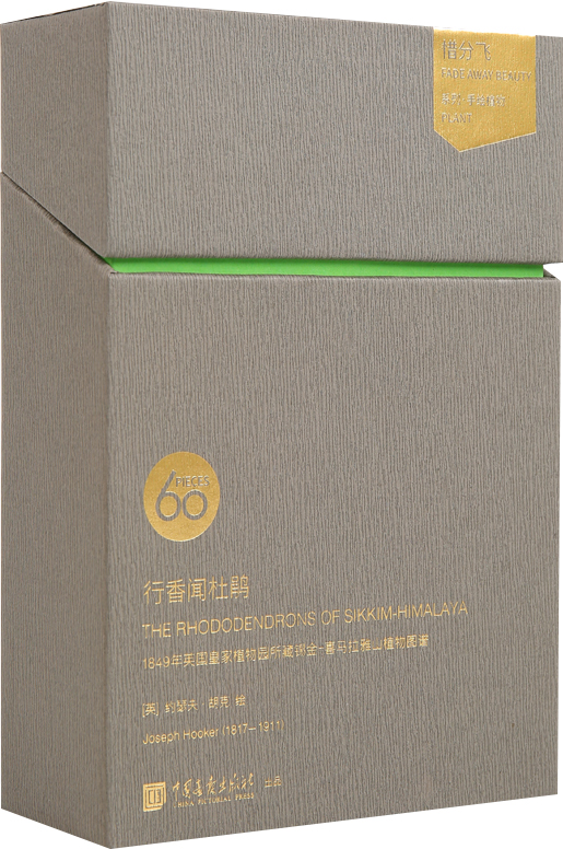 惜分飞系列·植物明信片：行香闻杜鹃（1849年英国皇家植物园所藏锡金-喜马拉雅山植物图谱）