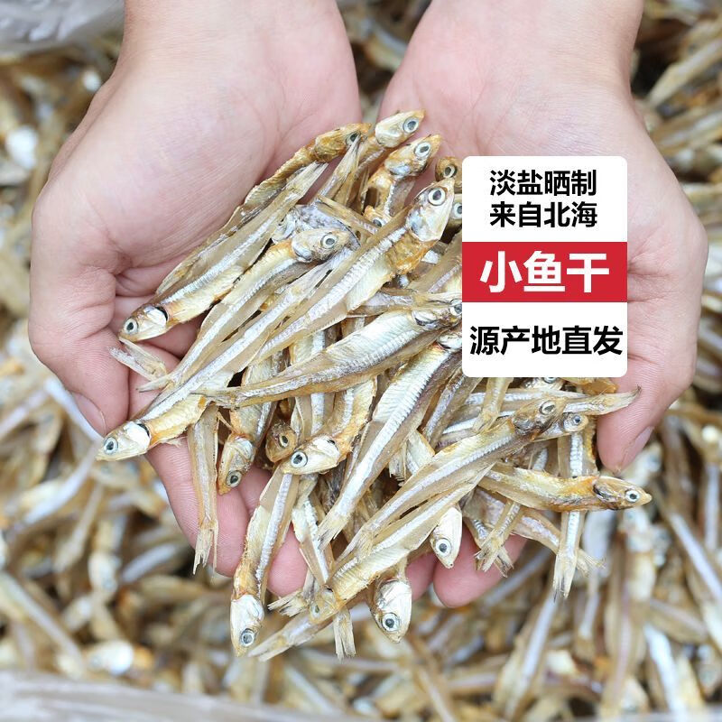 食懷公干魚北海淡水小魚干海燕魚白凡銀魚仔干貨小公魚散裝海鮮咸魚干 494g+6g大包一斤裝淡鹽曬
