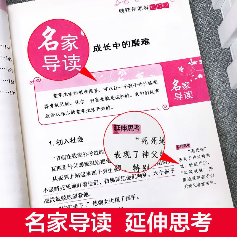 钢铁是怎样炼成的正版原著初中生全本无删减中文版原文经典文学 钢铁是怎样炼成的 无规格