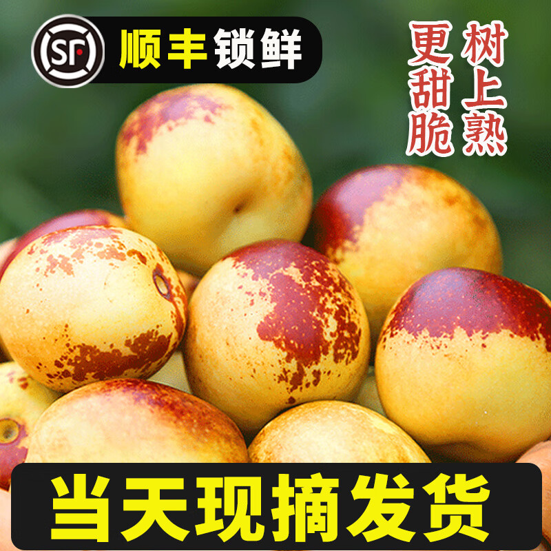 顺丰正宗山东沾化冬枣新鲜大枣水果枣子当季冰糖特大甜脆红枣 3斤 0 尝鲜中果顺丰丨尝鲜之选